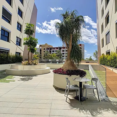 Skyview Penthouse By Mhm * Funchal